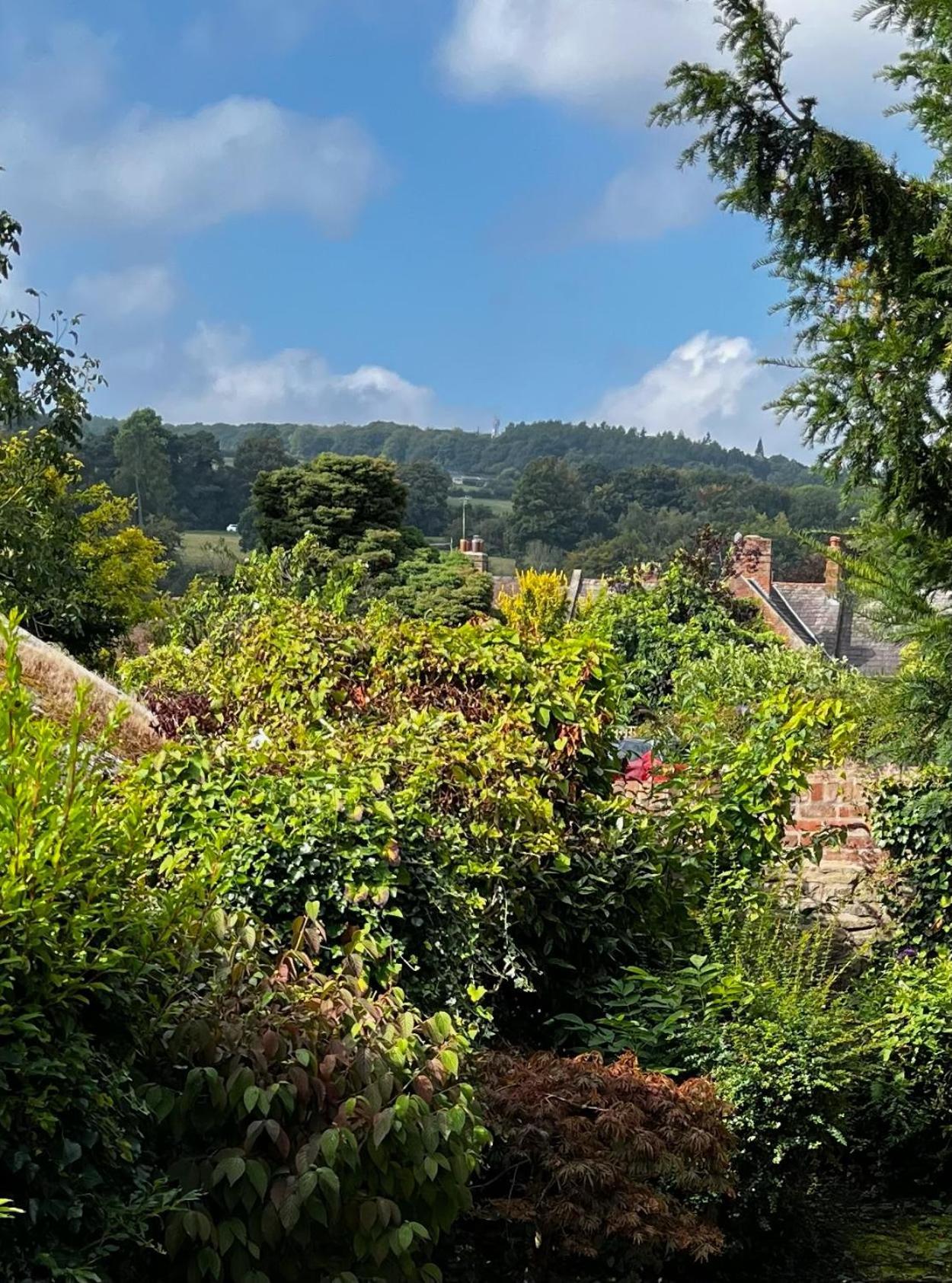 Flower Cottage By Ludlow Castle With Onsite Parking Exteriér fotografie
