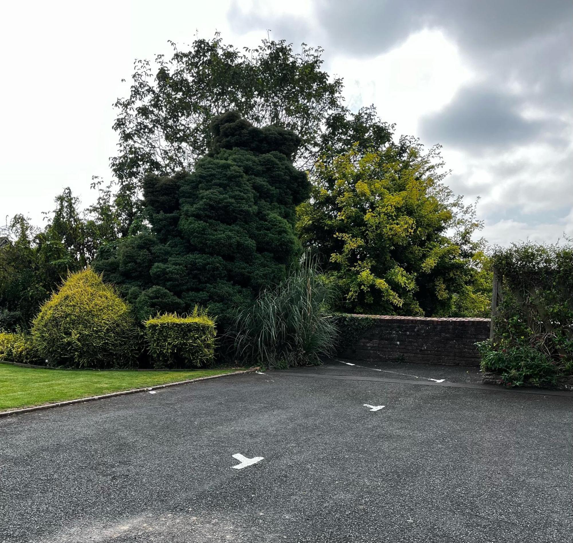 Flower Cottage By Ludlow Castle With Onsite Parking Exteriér fotografie